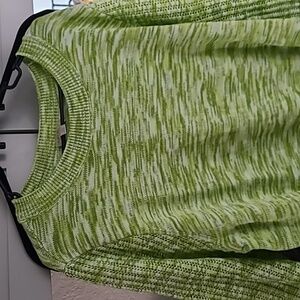 Any Body Lime Sweater